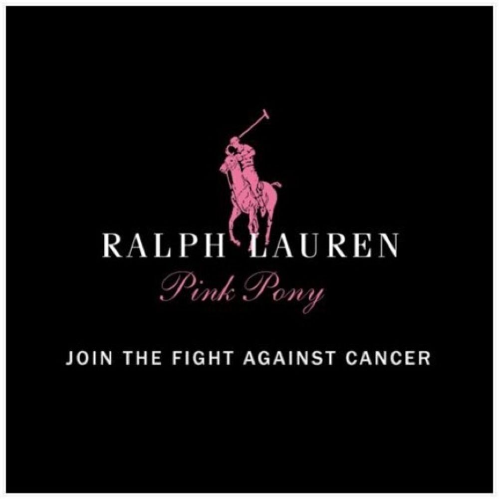 Ralph Lauren Pink Pony Gray Cashmere Crewneck Long-sleeved Sweater - Picture 3 of 17